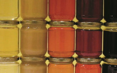 Patti chiari – Miele contraffatto