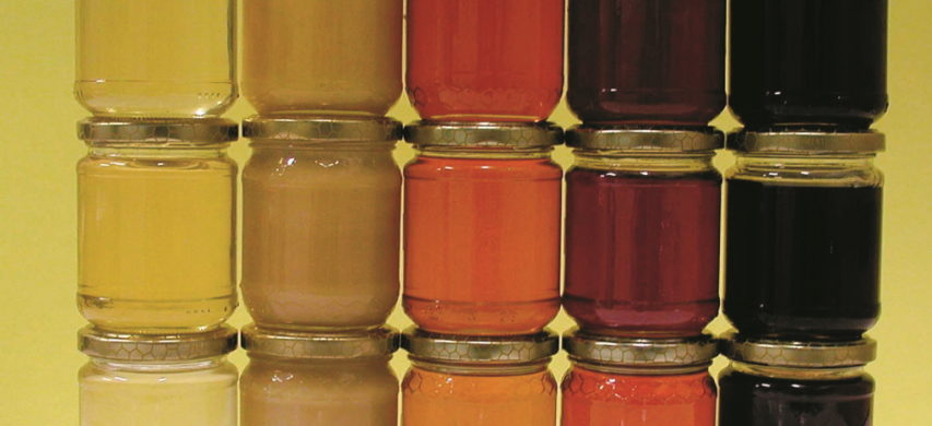 Patti chiari – Miele contraffatto