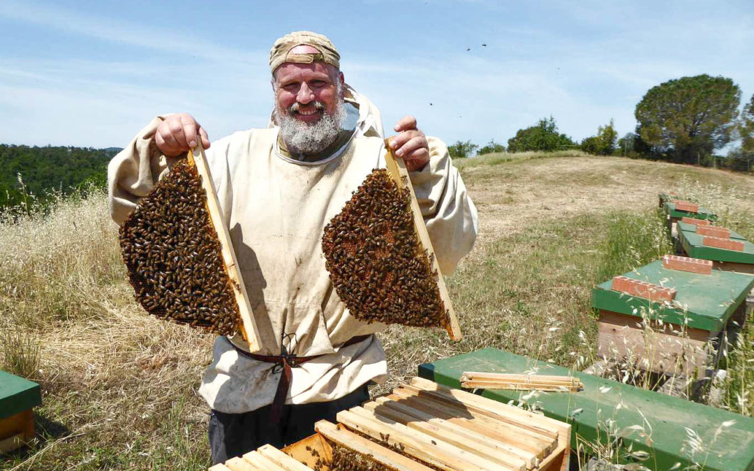 Paolo Fontana – Nata libera: La nuova classificazione dell’ape mellifera