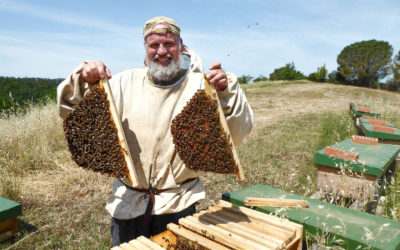 Paolo Fontana – Nata libera: La nuova classificazione dell’ape mellifera